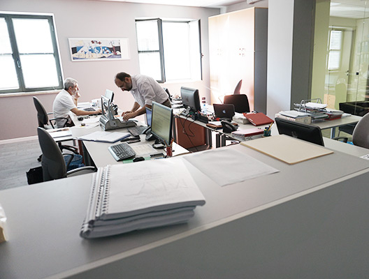 SIAM Team